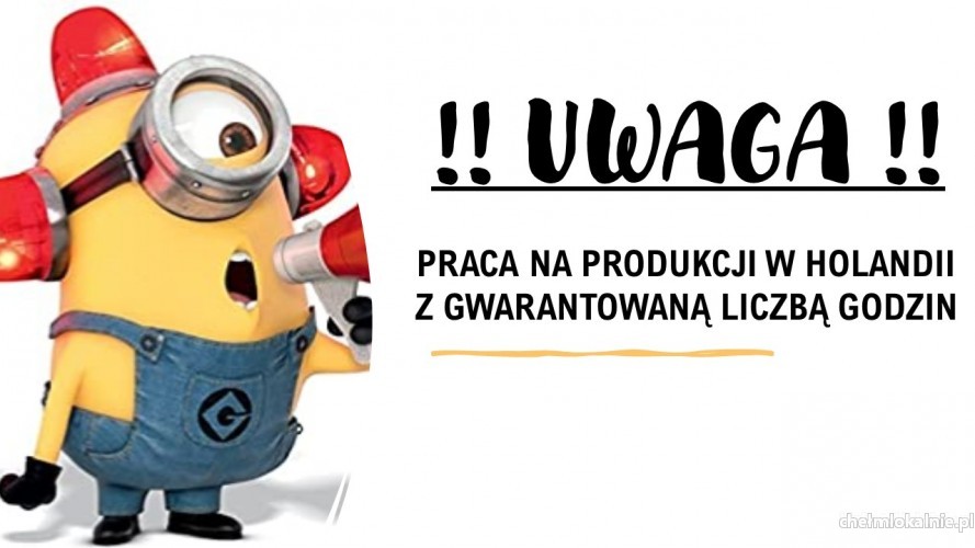 Wakacyjna oferta pracy!! W Holandii!!