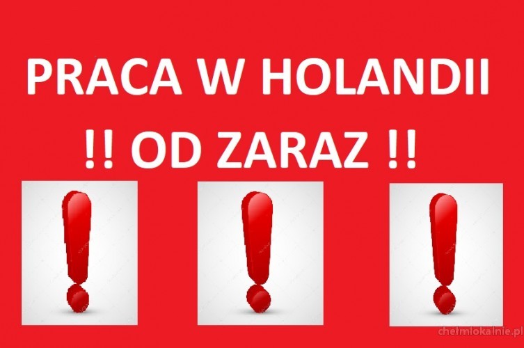 Holandia – Praca od zaraz!