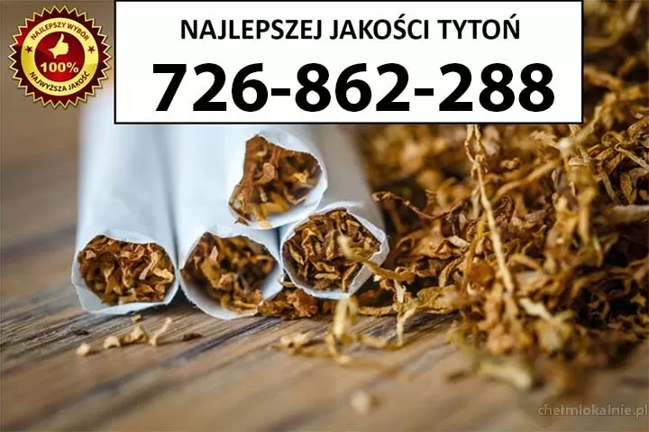 Bardzo Dobrej Jakości TYTOŃ 75PLN/1KG