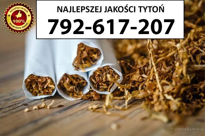 Znakomitej jakości TYTOŃ 80 PLN/1KG