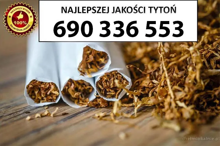 Bardzo Dobrej Jakości TYTOŃ 85 PLN/1KG